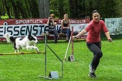 gallerien-agility_0000s_0009_S0462875